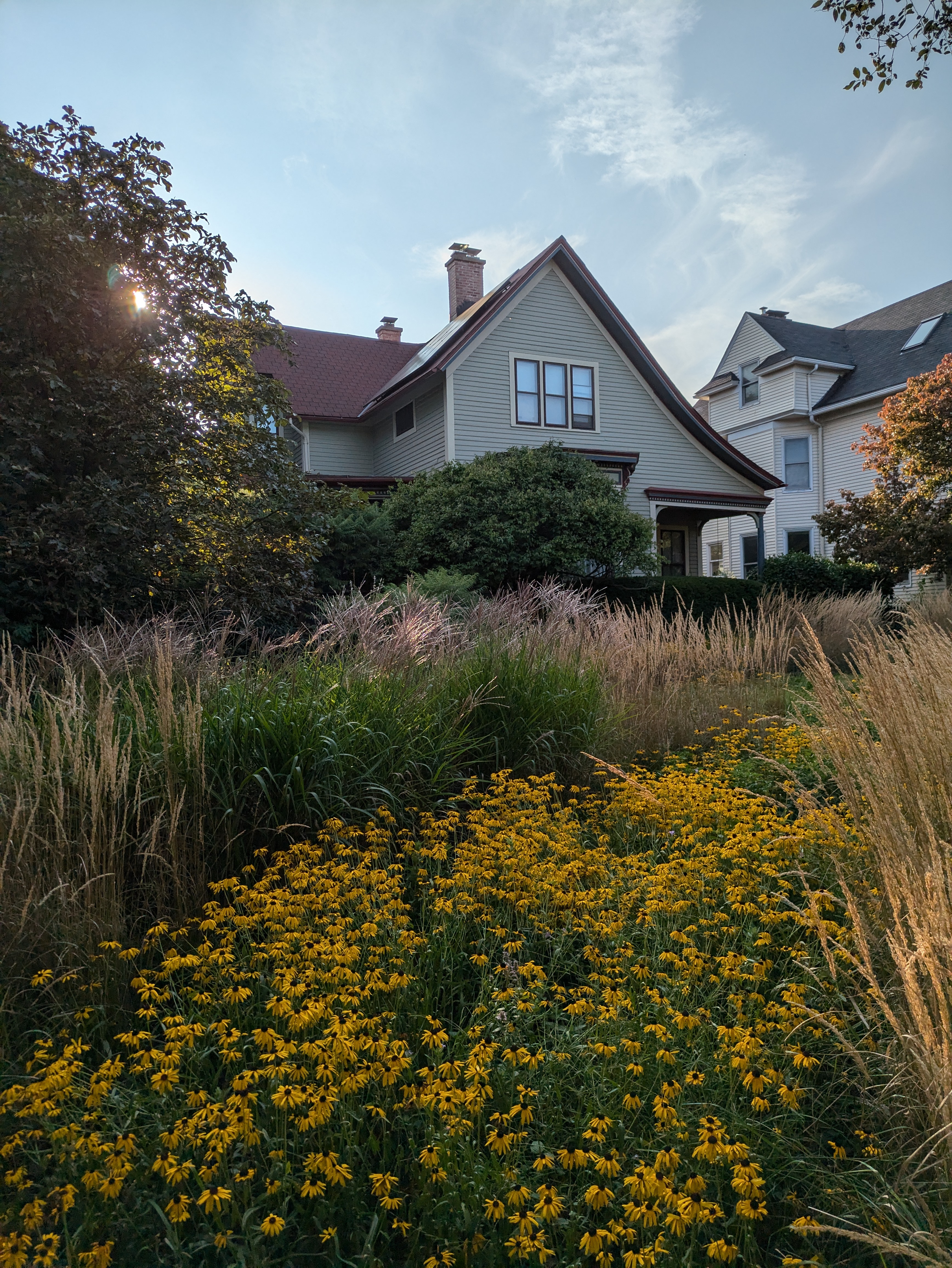 suburban elysium