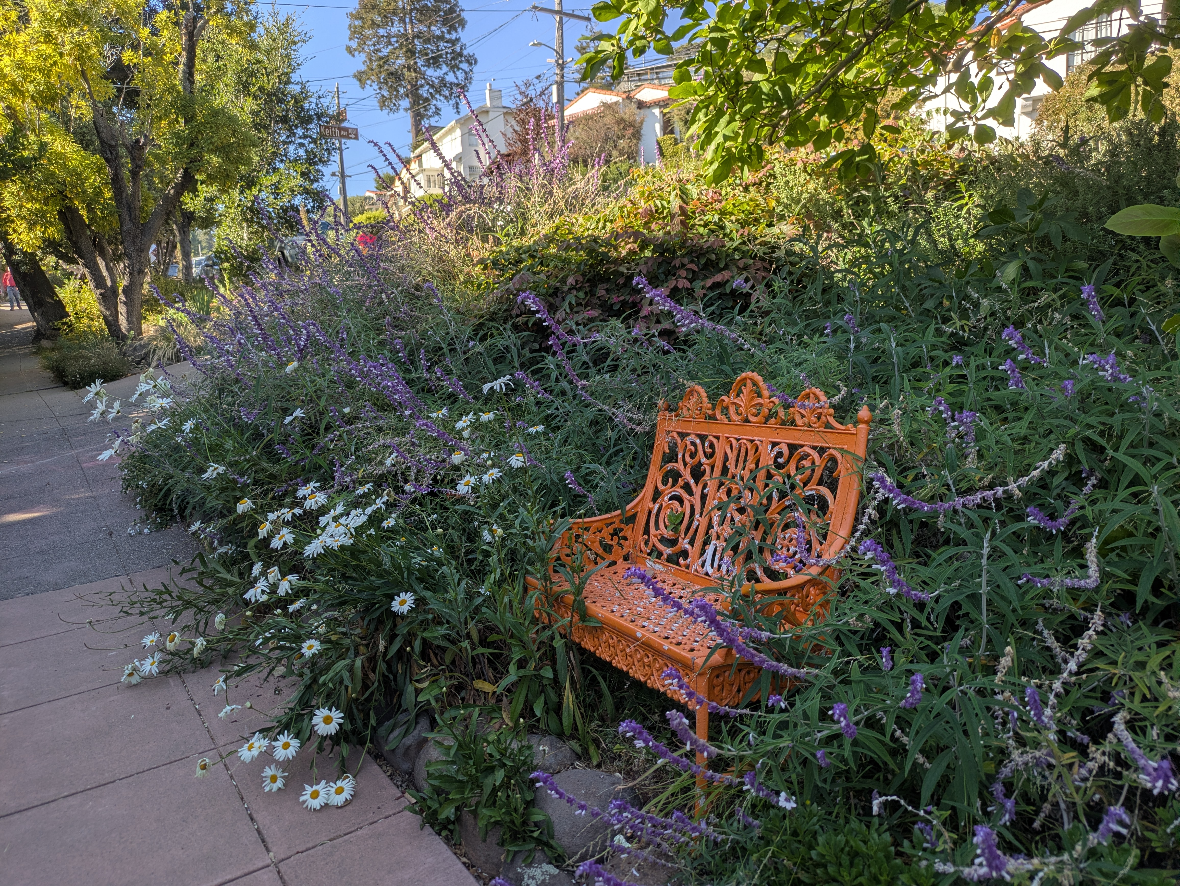 generational pondering spot